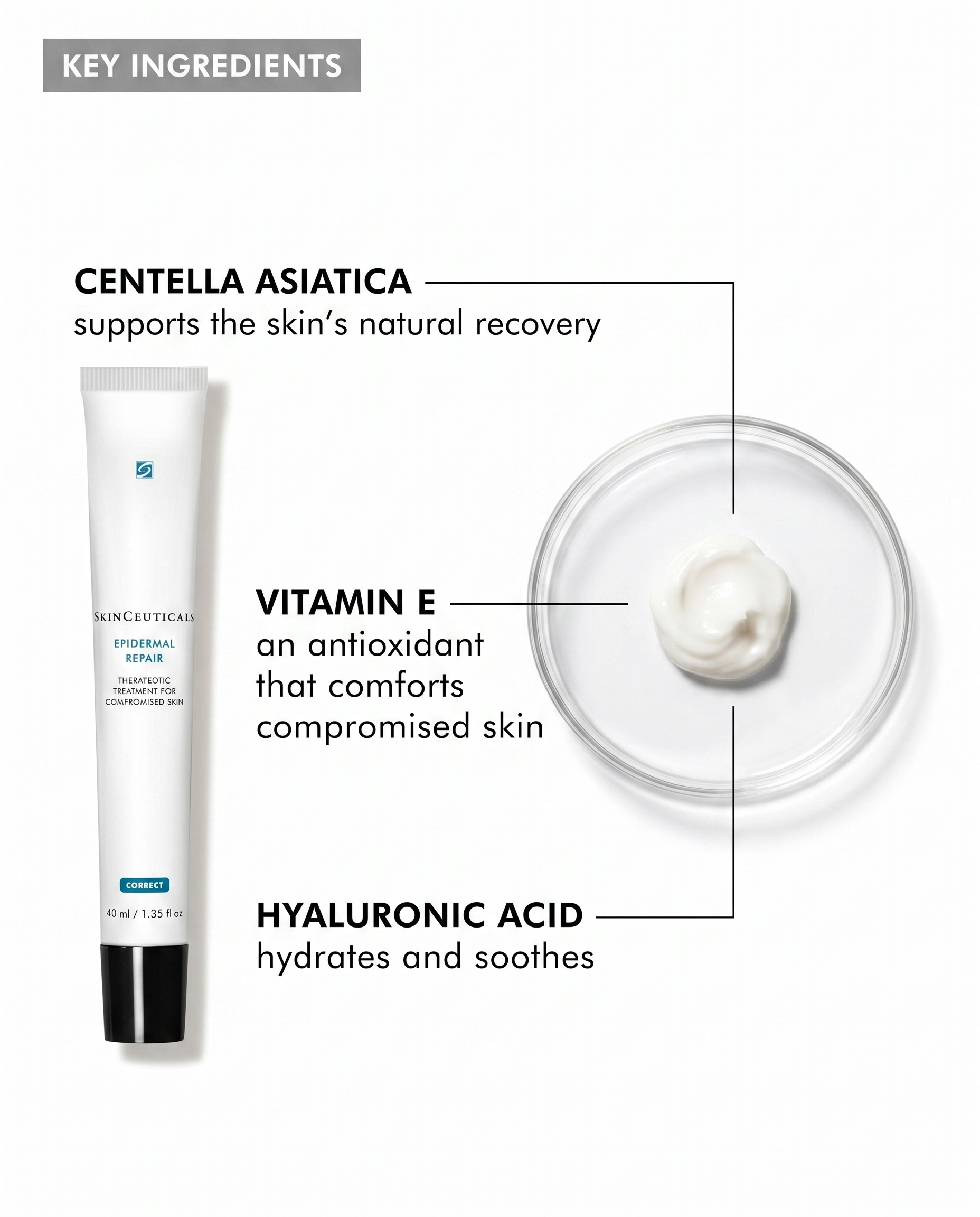 Epidermal Repair
